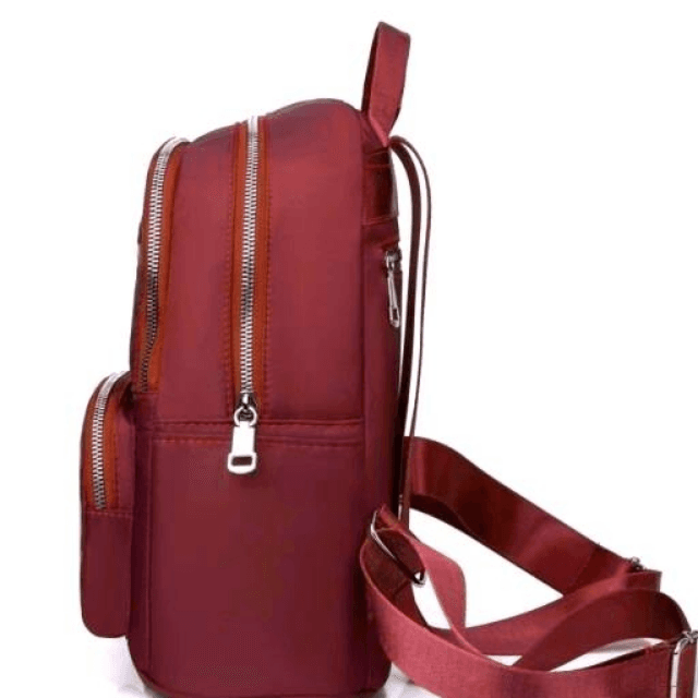 Back Packs  1 PC