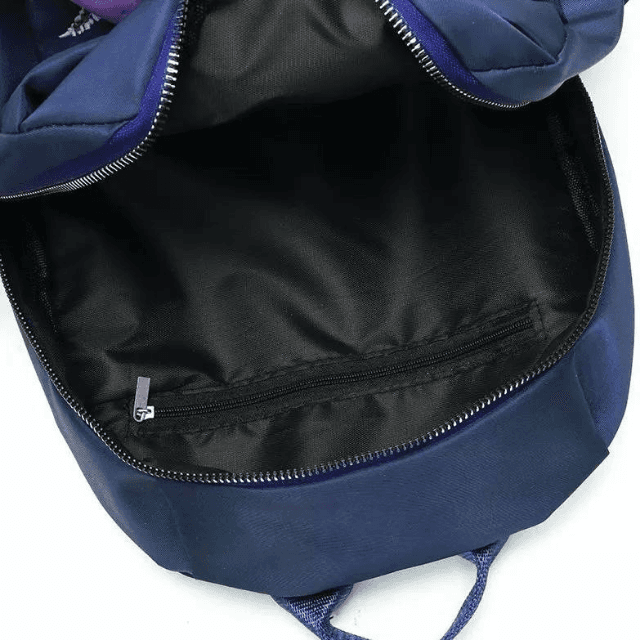 Back Packs  1 PC